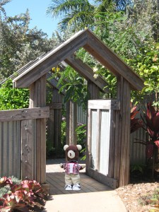 Teddy at Botanical Garden