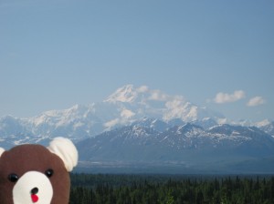 Teddy at Mt McKinley