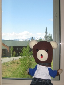 Teddy-McKinley window