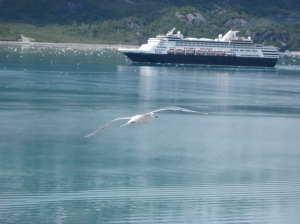 Ship and Gull