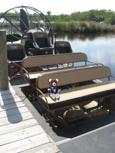 Teddy on airboat
